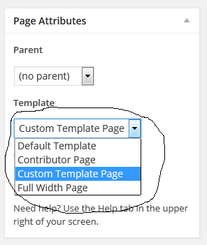 Template Section