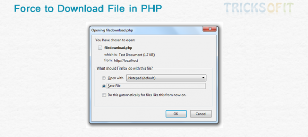 Force to Download File in PHP