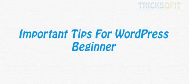 Important Tips For WordPress Beginner
